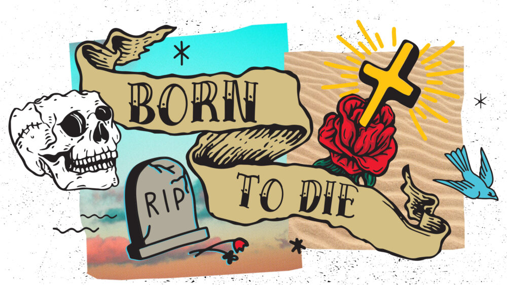 Born to Die