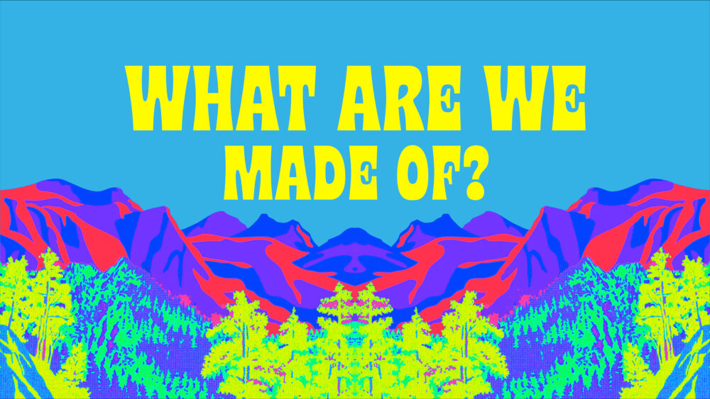 What Are We Made Of?