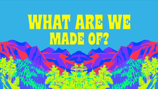 What Are We Made Of? Image