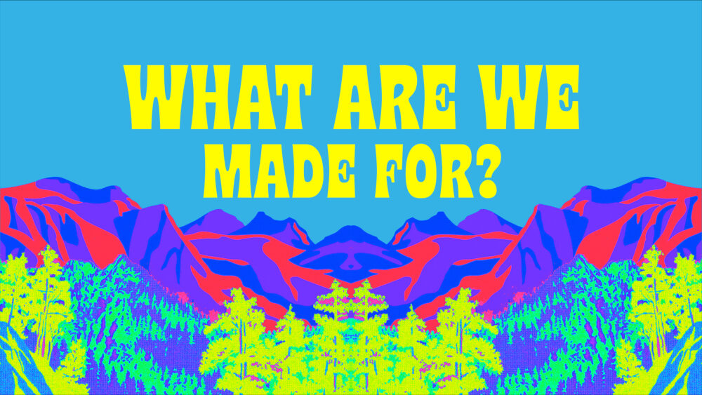 What Are We Made For?
