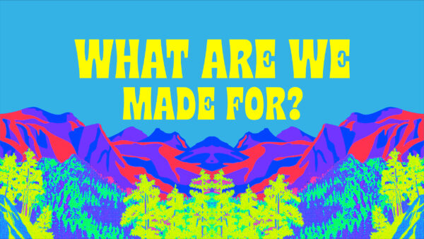What Are We Made For? Image
